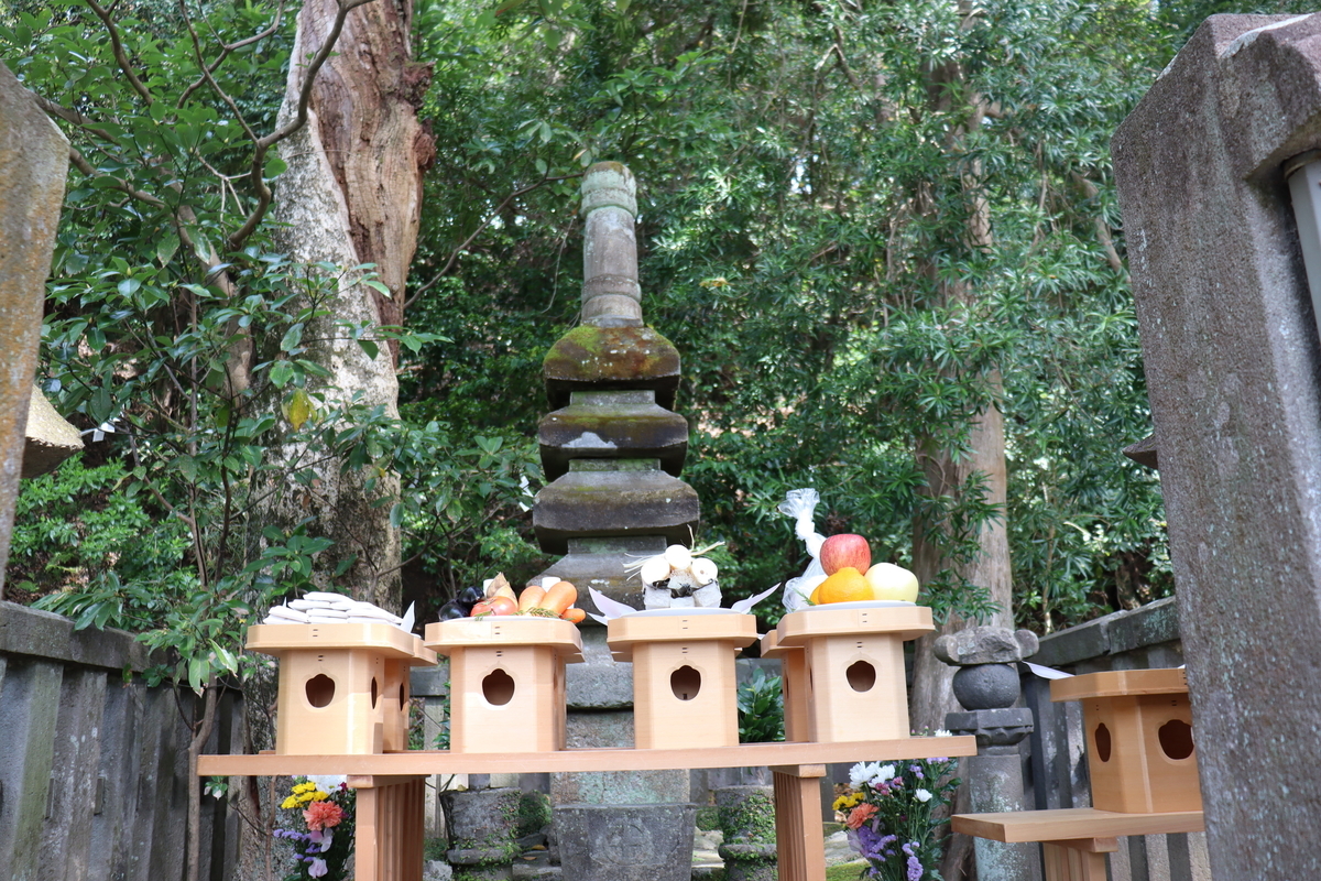 f:id:takeuma02:20220413144623j:plain