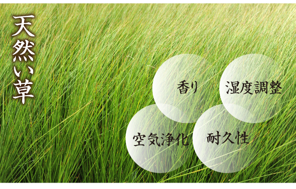 おしゃれな畳ベッド セミダブル 棚・照明・コンセント付き