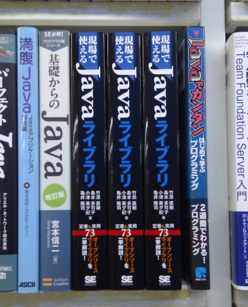 有楽町ビックカメラ。平積みになってないし3冊だけ…