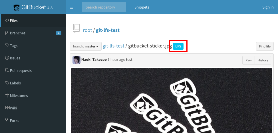 f:id:takezoe:20170128105206p:plain