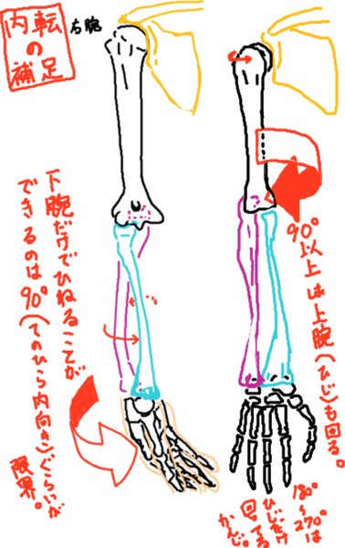f:id:takhino:20100502153141p:image:h300 f:id:takhino:20100502153141p:image:h300