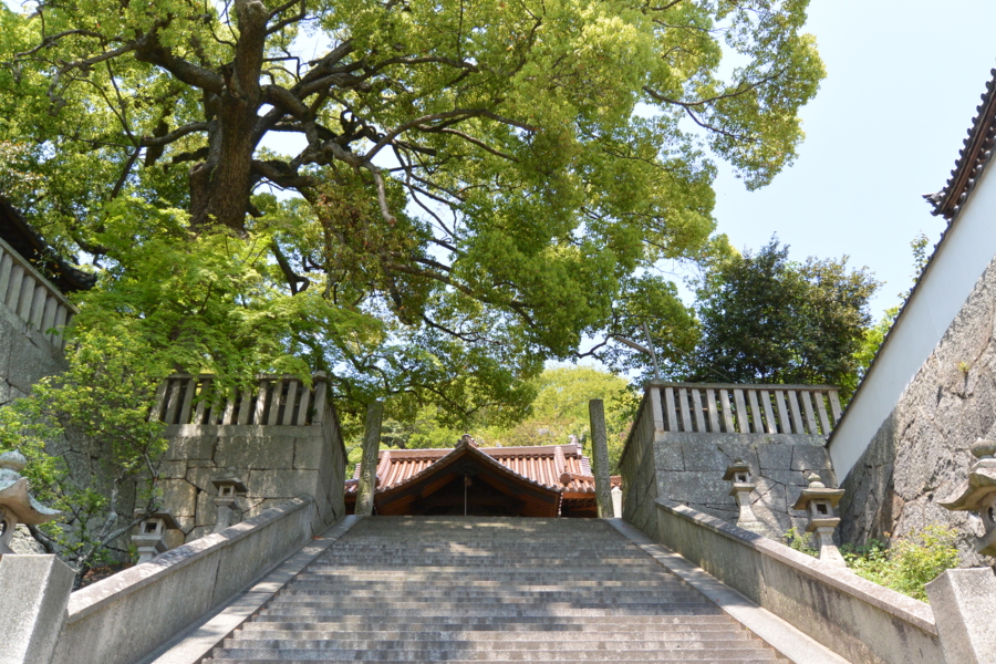 f:id:takhino:20130505123126j:image:w500 f:id:takhino:20130505123126j:image:w500