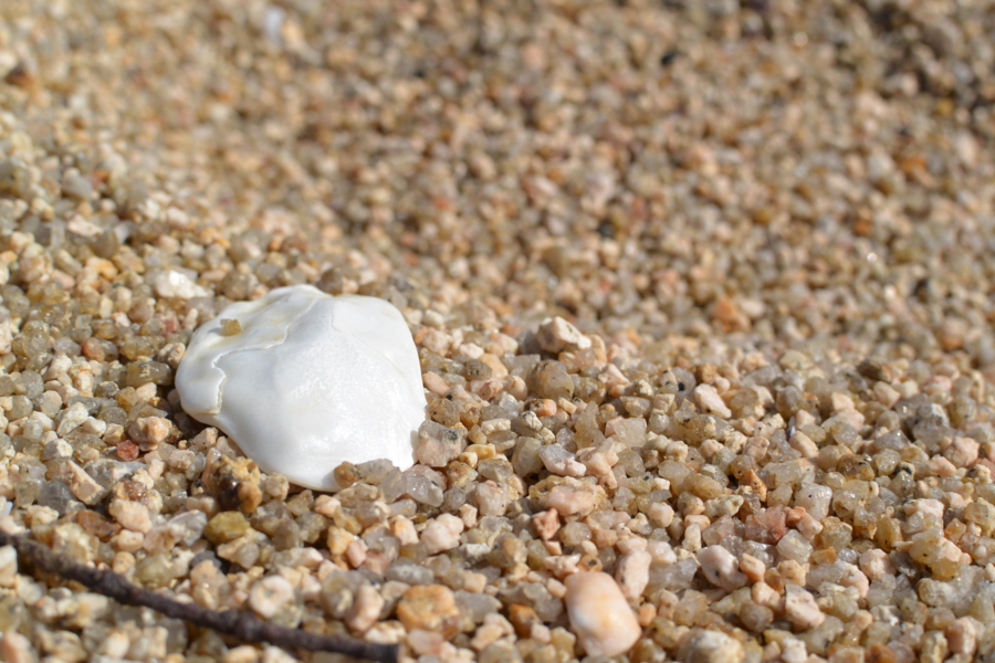 f:id:takhino:20130505150912j:image:w500 f:id:takhino:20130505150912j:image:w500