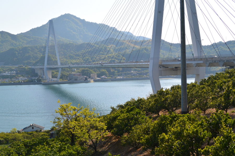 f:id:takhino:20130505162731j:image:w500 f:id:takhino:20130505162731j:image:w500