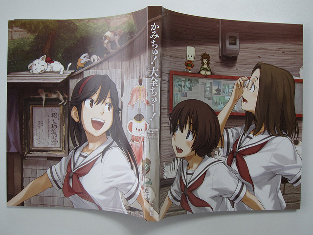 f:id:takhino:20130602150055j:image:w500 f:id:takhino:20130602150055j:image:w500