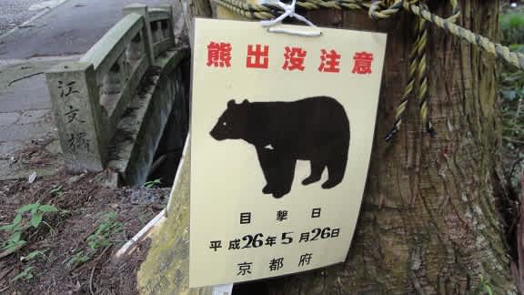 金比羅山 573m - ぼちぼちクライミング