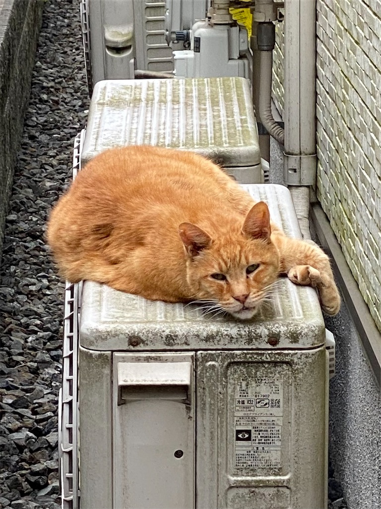 f:id:takian2000:20220624183743j:image