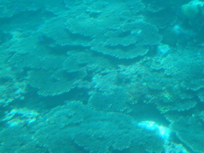 f:id:takibata:20081106022040j:image f:id:takibata:20081106022040j:image