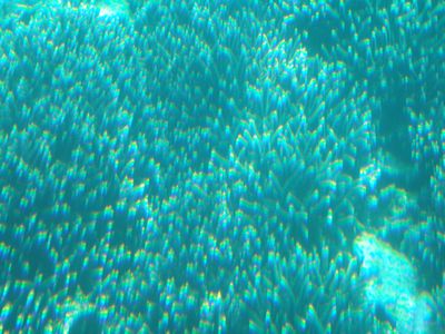 f:id:takibata:20081106022058j:image f:id:takibata:20081106022058j:image