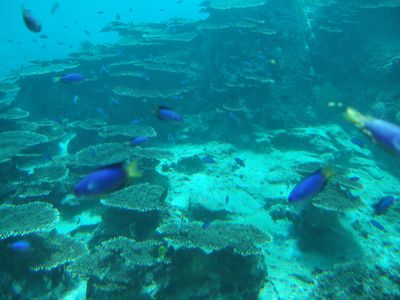 f:id:takibata:20081106022252j:image f:id:takibata:20081106022252j:image