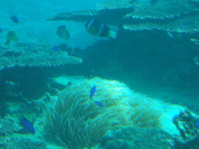 f:id:takibata:20081106022327j:image f:id:takibata:20081106022327j:image