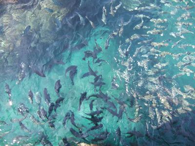 f:id:takibata:20081106022359j:image f:id:takibata:20081106022359j:image