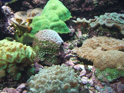 f:id:takibata:20081106022606j:image f:id:takibata:20081106022606j:image