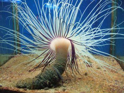 f:id:takibata:20081106022645j:image f:id:takibata:20081106022645j:image