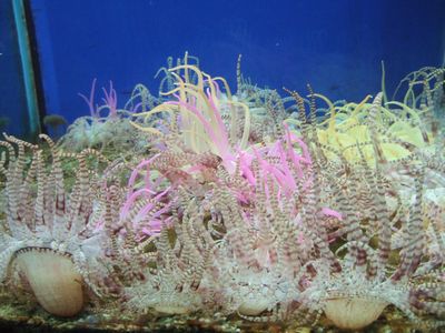 f:id:takibata:20081106022809j:image f:id:takibata:20081106022809j:image