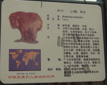 f:id:takibata:20090102195213j:image