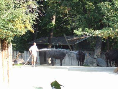 f:id:takibata:20090823023957j:image