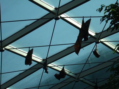 f:id:takibata:20090823024027j:image