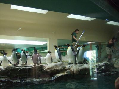 f:id:takibata:20090823024211j:image
