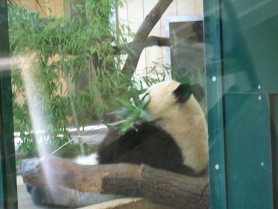 f:id:takibata:20090823024528j:image