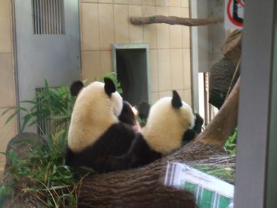 f:id:takibata:20090823024529j:image
