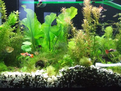 f:id:takibata:20091228212331j:image f:id:takibata:20091228212331j:image