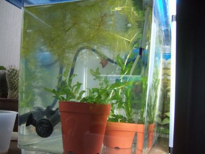 f:id:takibata:20100322153358j:image f:id:takibata:20100322153358j:image