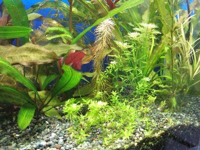 f:id:takibata:20100322153448j:image f:id:takibata:20100322153448j:image