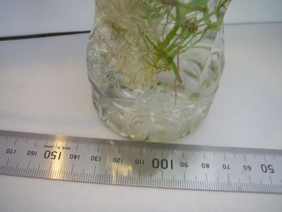 f:id:takibata:20100322153553j:image f:id:takibata:20100322153553j:image