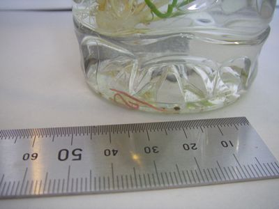 f:id:takibata:20100322153555j:image f:id:takibata:20100322153555j:image