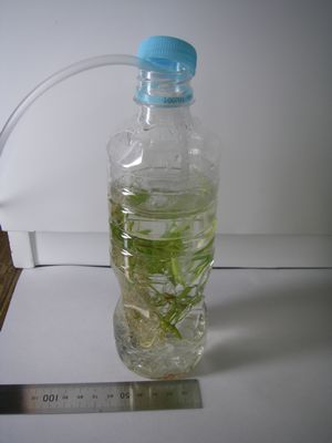 f:id:takibata:20100322153556j:image f:id:takibata:20100322153556j:image