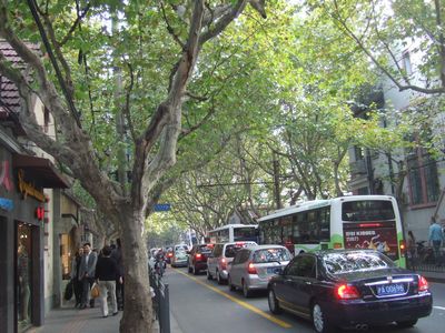 f:id:takibata:20101107082052j:image f:id:takibata:20101107082052j:image