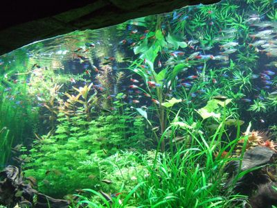 f:id:takibata:20101107082321j:image f:id:takibata:20101107082321j:image