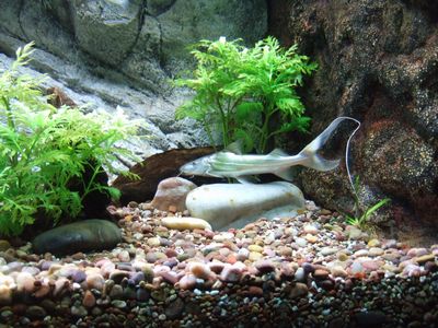 f:id:takibata:20101107083504j:image f:id:takibata:20101107083504j:image