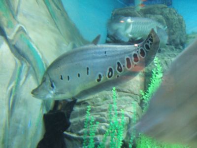 f:id:takibata:20101107083654j:image f:id:takibata:20101107083654j:image