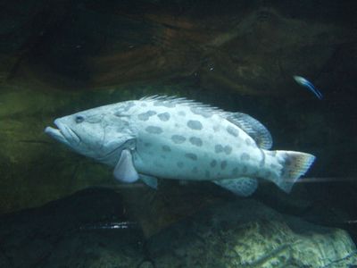 f:id:takibata:20101107084104j:image f:id:takibata:20101107084104j:image