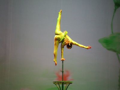 f:id:takibata:20101111014647j:image