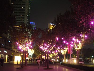 f:id:takibata:20101111014853j:image