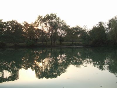 f:id:takibata:20101112225549j:image