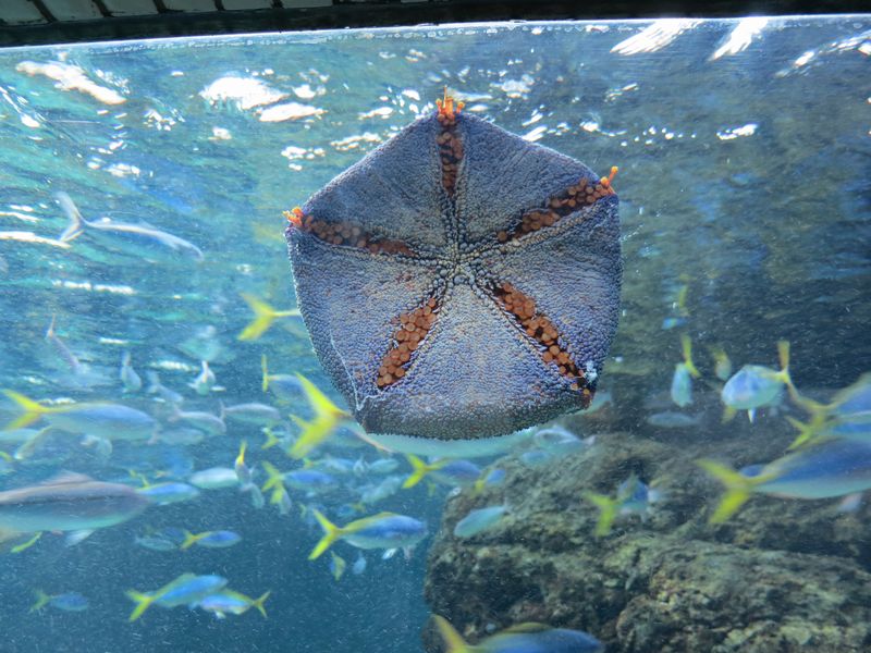 f:id:takibata:20120824075117j:image:w640