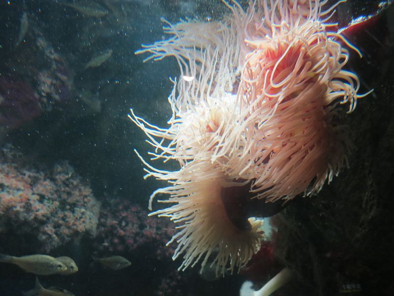 f:id:takibata:20120824081107j:image:w640