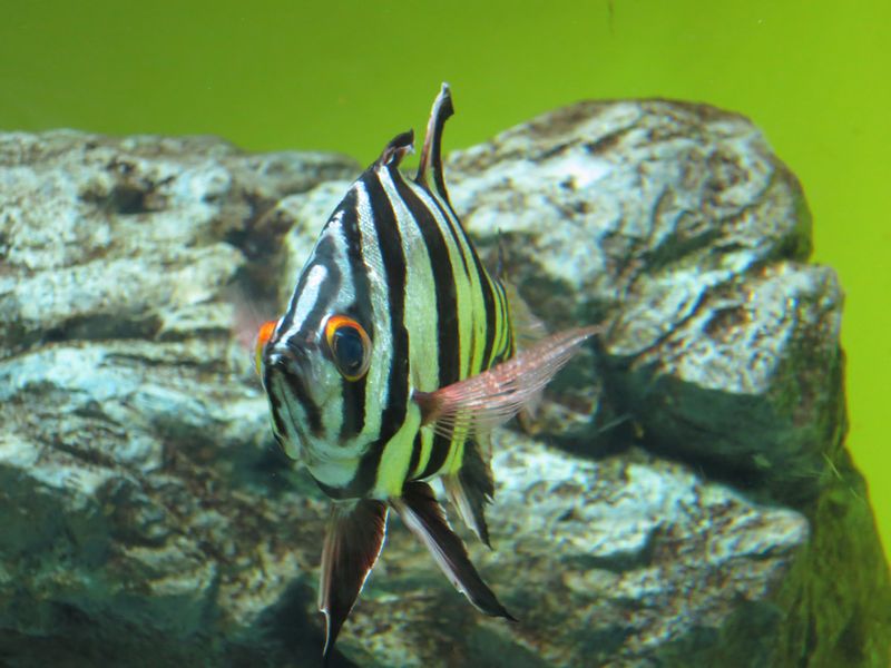 f:id:takibata:20120824081155j:image:w640