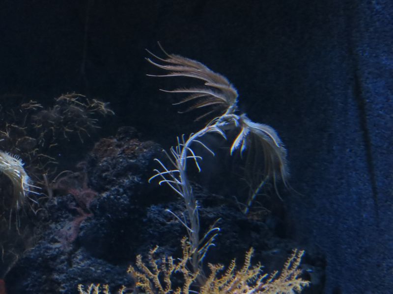 f:id:takibata:20120824081344j:image:w640