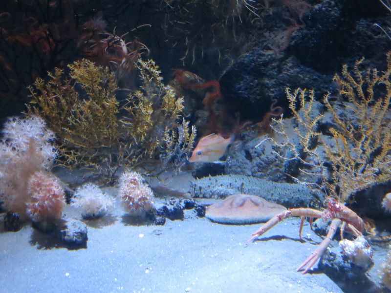 f:id:takibata:20120824081526j:image:w640