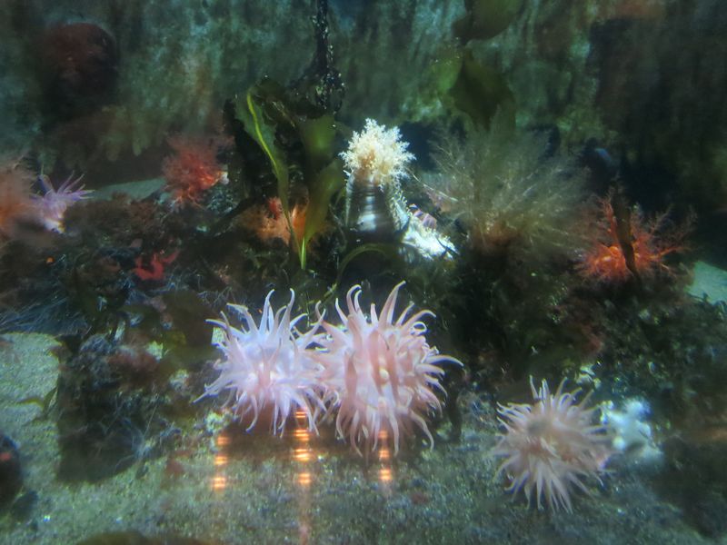 f:id:takibata:20120824081736j:image:w640