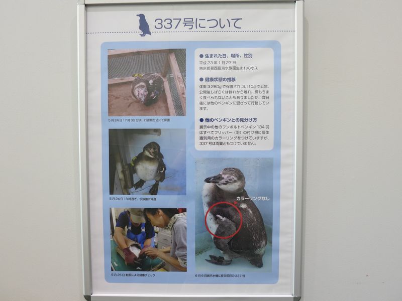 f:id:takibata:20120824082005j:image:w640