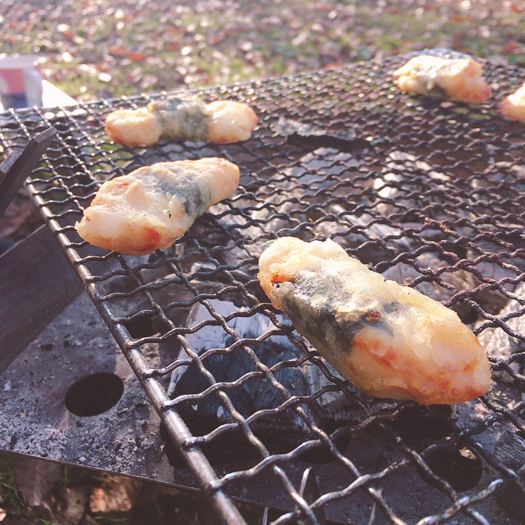 f:id:takibi-tabi:20201207191001j:plain