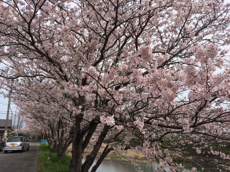 f:id:takibioyaji:20160403104748j:image f:id:takibioyaji:20160403104748j:image