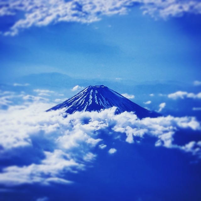 f:id:takibitousagi:20200712185303j:image f:id:takibitousagi:20200712185303j:image