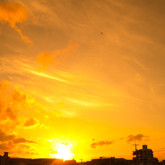 f:id:takibitousagi:20200728204753j:image f:id:takibitousagi:20200728204753j:image
